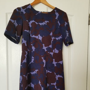 Ann Taylor Shirt Dress